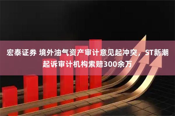 宏泰证券 境外油气资产审计意见起冲突，ST新潮起诉审计机构索赔300余万