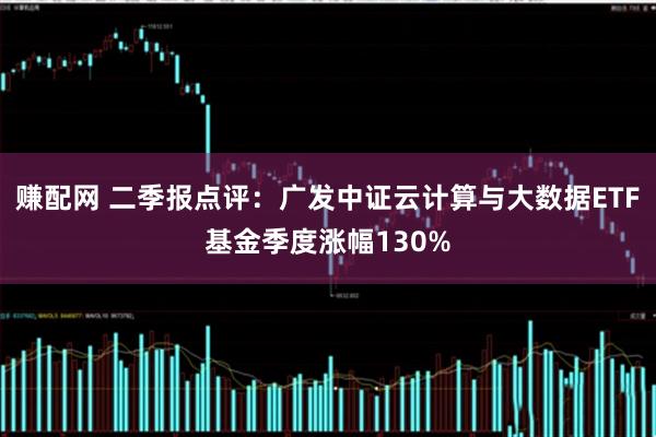 赚配网 二季报点评：广发中证云计算与大数据ETF基金季度涨幅130%